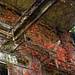 Lost Places Thumbnail