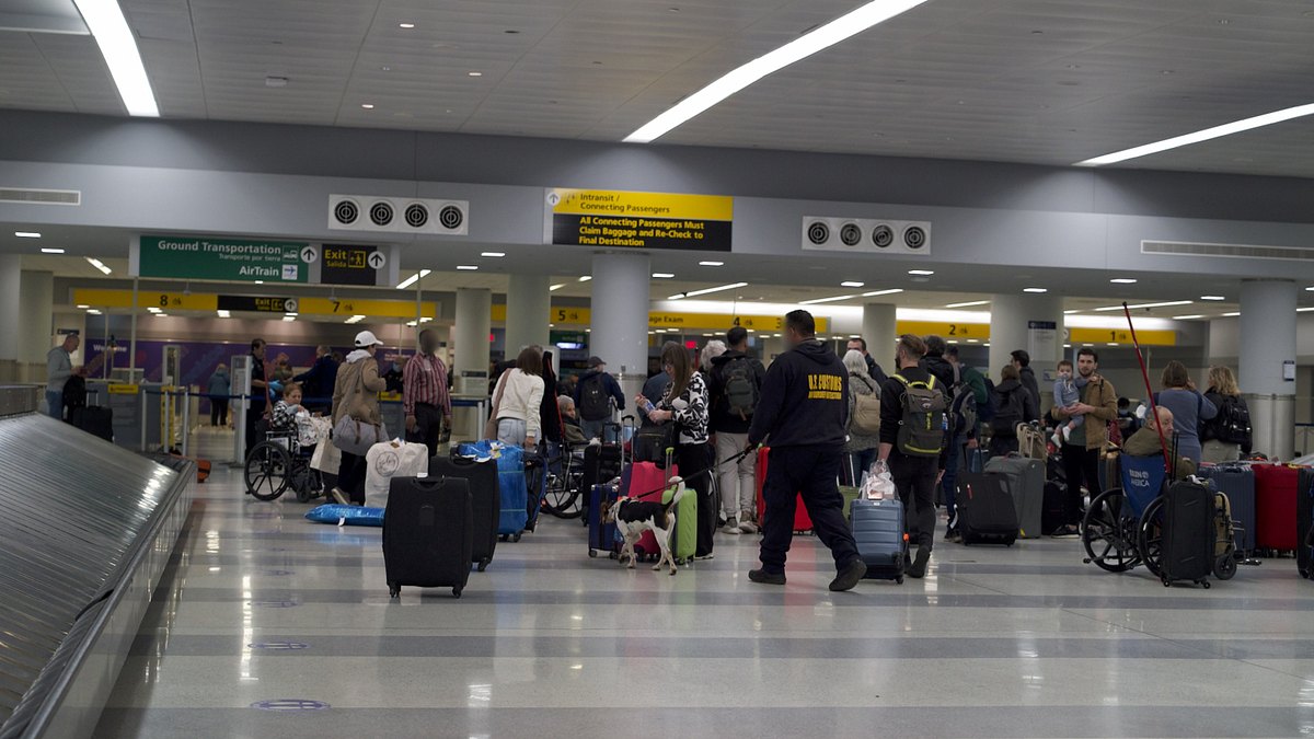 flughafen new york - kampf den schmugglern