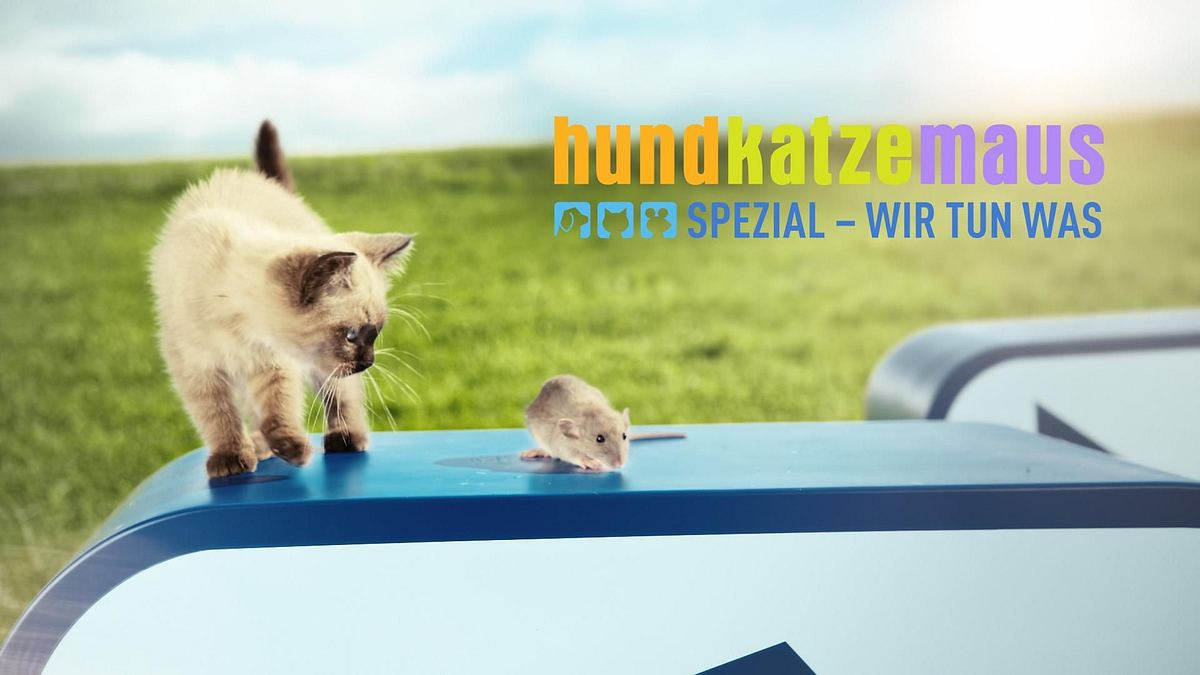 hundkatzemaus