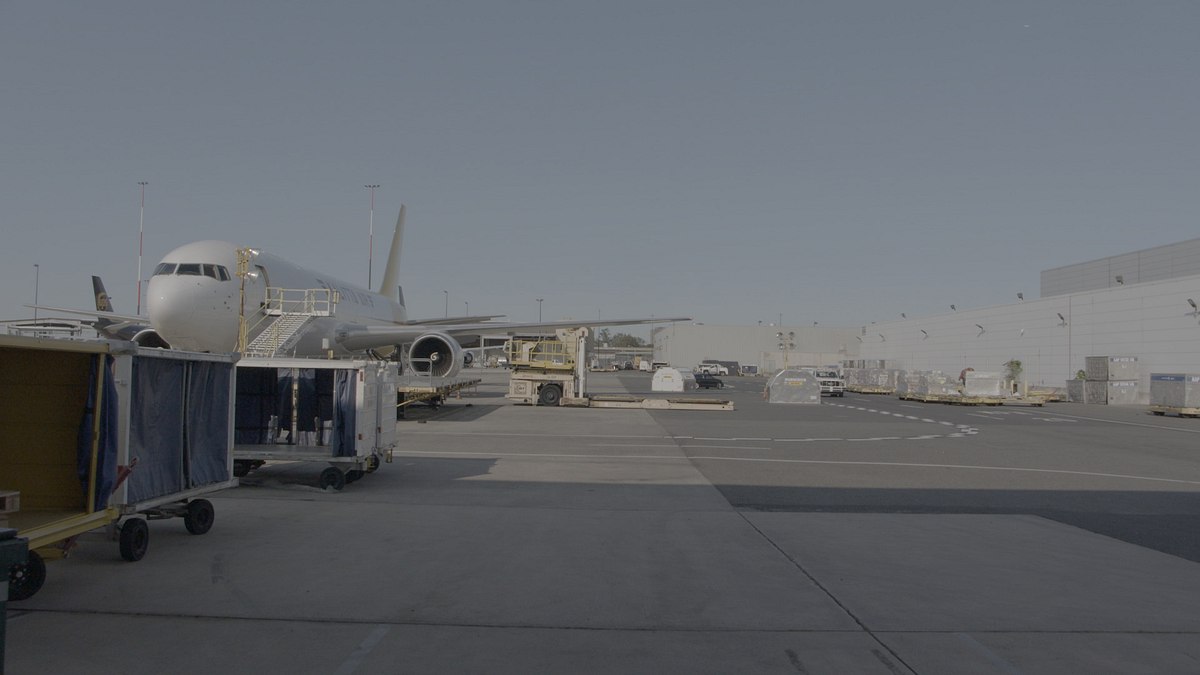 flughafen new york - kampf den schmugglern