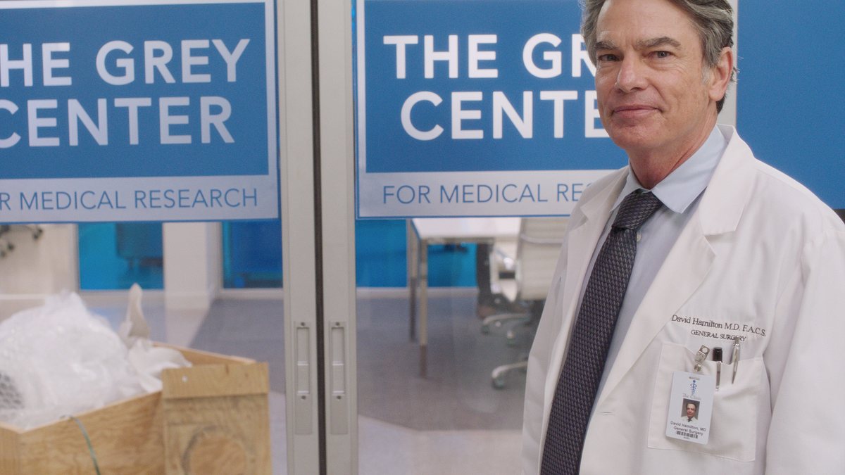 greys anatomy - die jungen ärzte