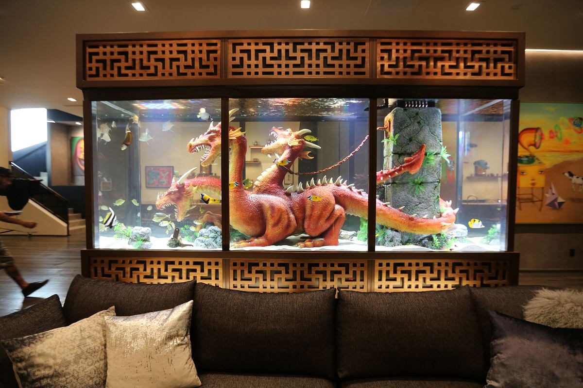 Die Aquarium-Profis die aquarium-profis