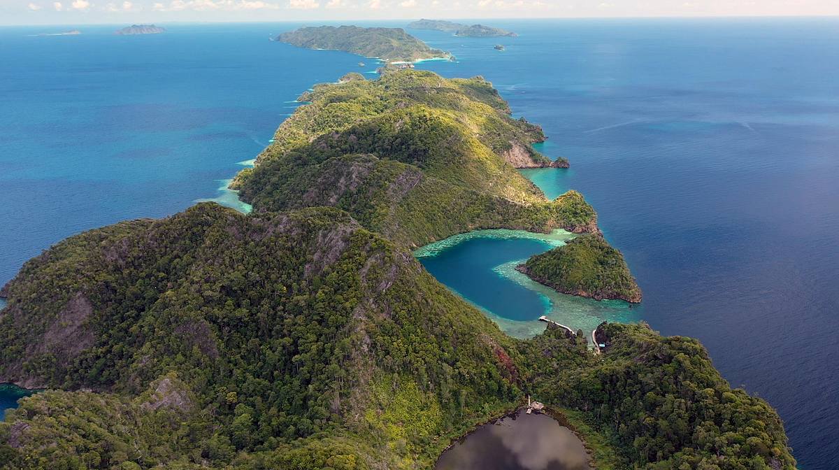 Into the Blue - Indonesiens Unterwasserparadiese into the blue - indonesiens unterwasserparadiese