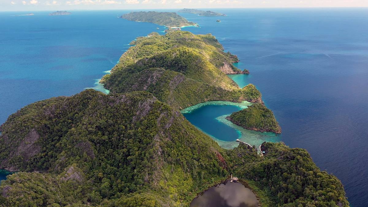 into the blue - indonesiens unterwasserparadiese