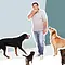 Der Hundeprofi Thumbnail