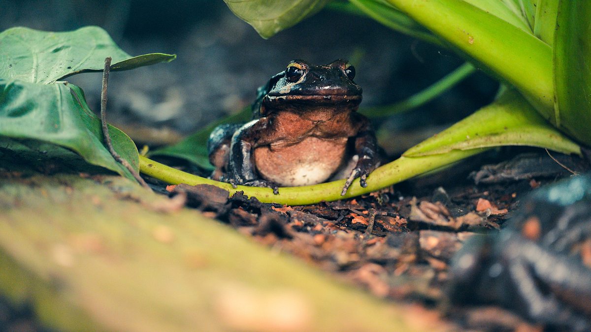 zoo und so - tierisch wild!