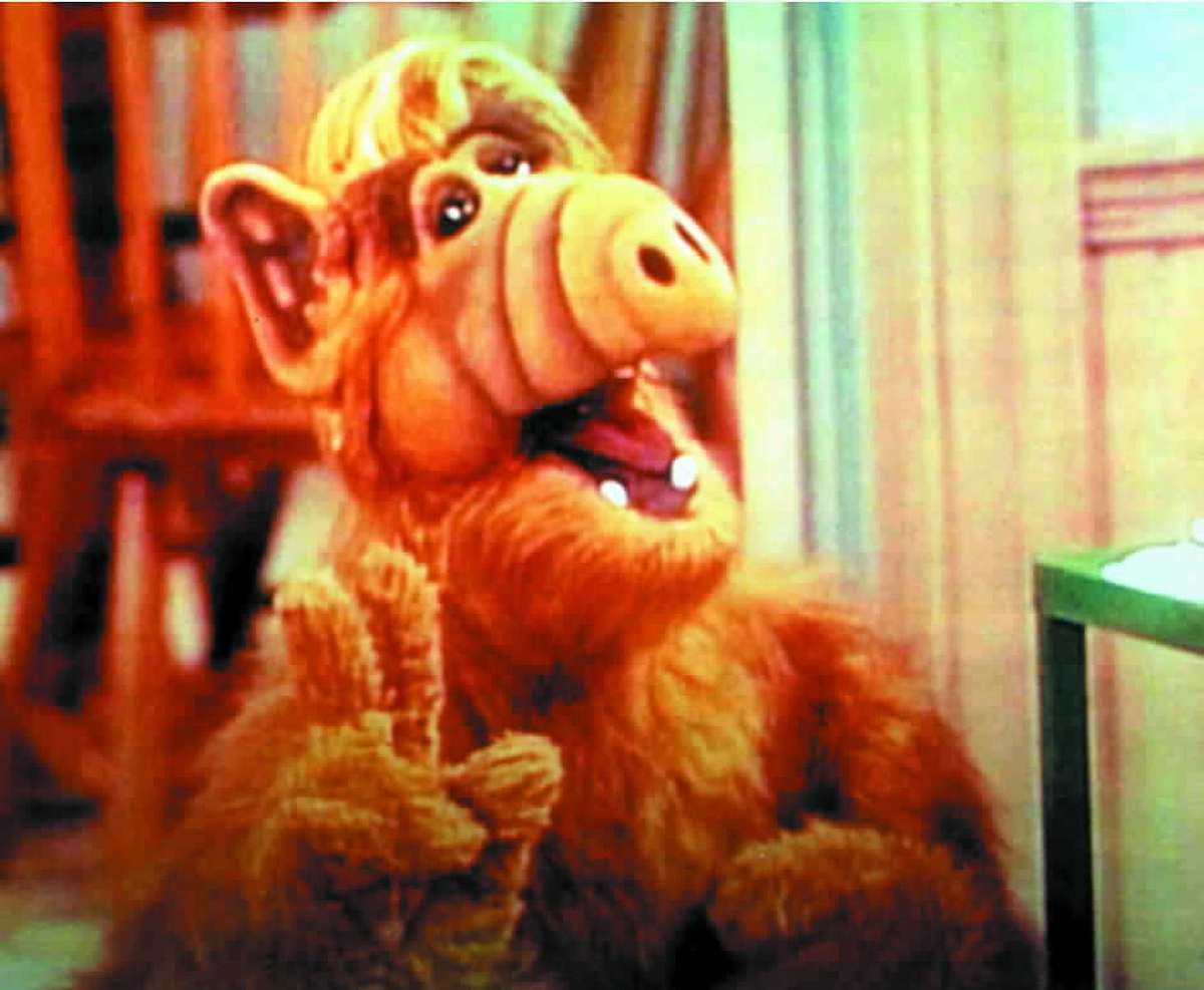 Alf alf