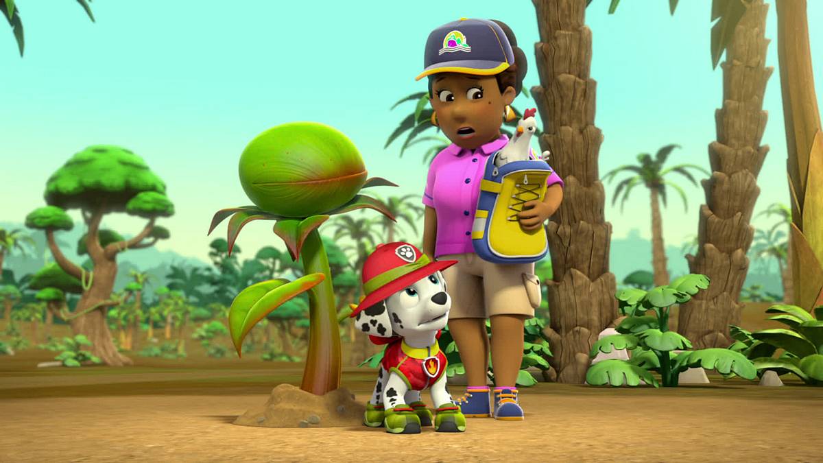 paw patrol - helfer auf vier pfoten