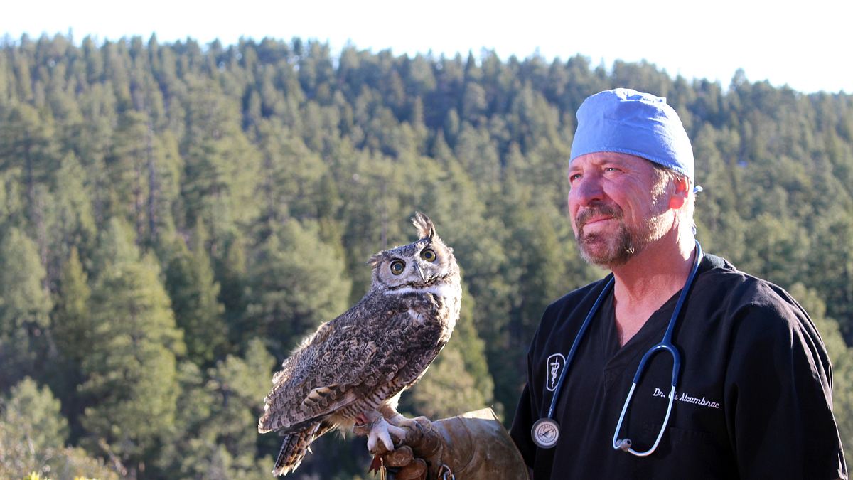 dr. ole: tierarzt im einsatz