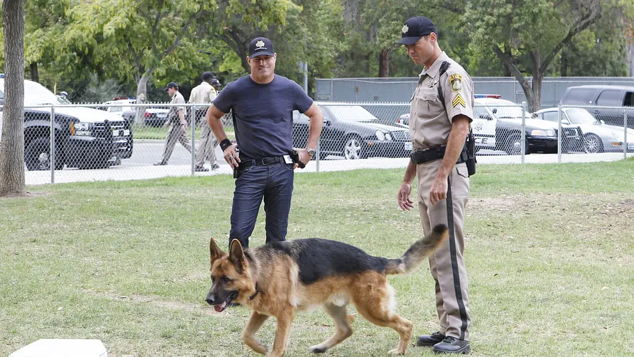 csi: vegas