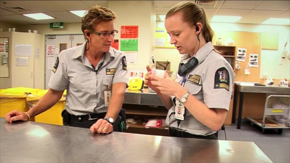 Border Patrol New Zealand - Einsatz an der Grenze border patrol new zealand - einsatz an der grenze