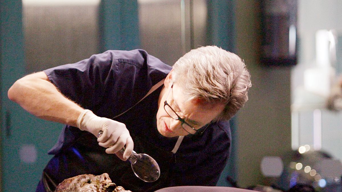csi: ny