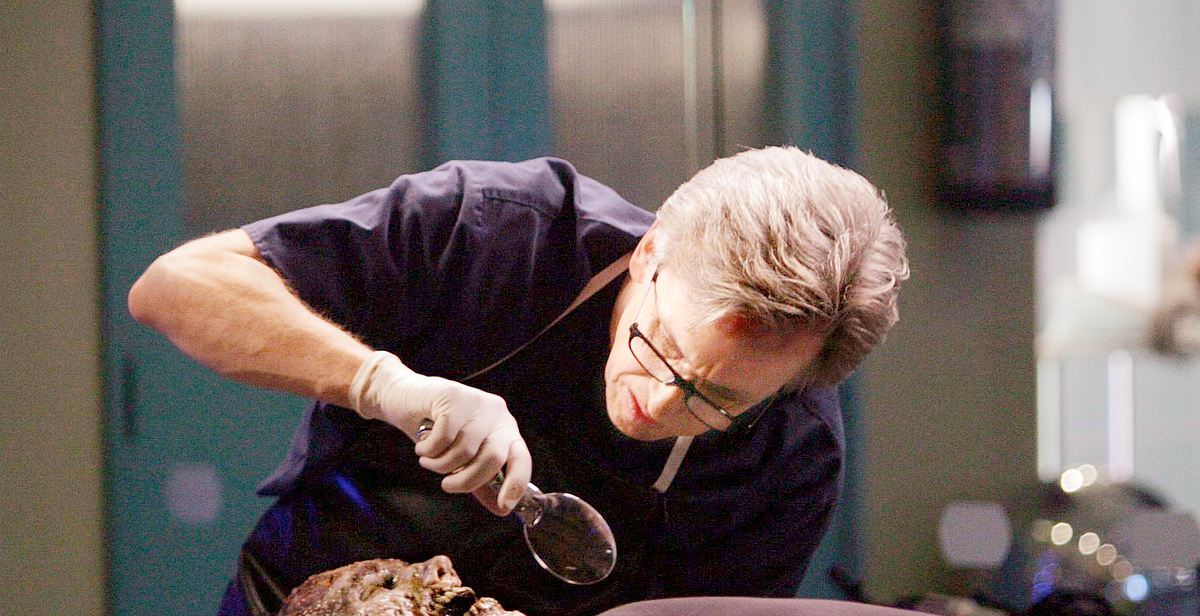 csi: ny