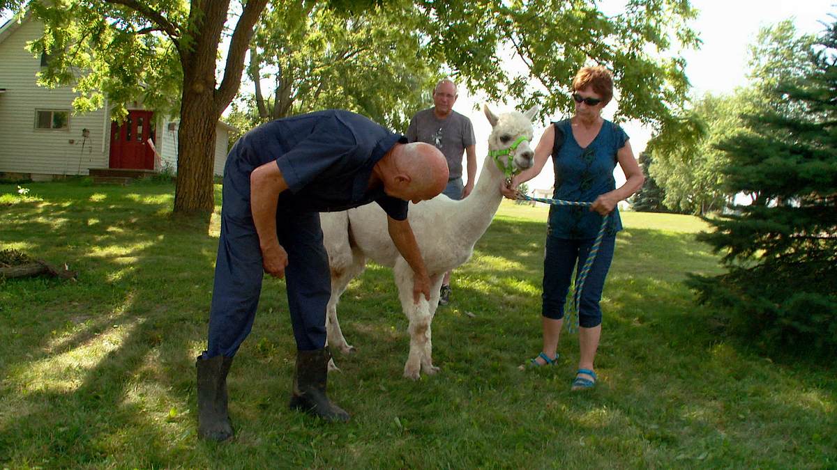 der unglaubliche dr. pol