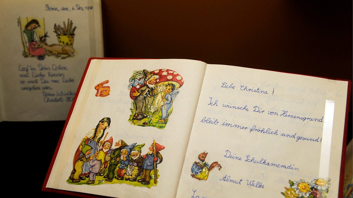 phoenix dok.thema: das war dann mal weg