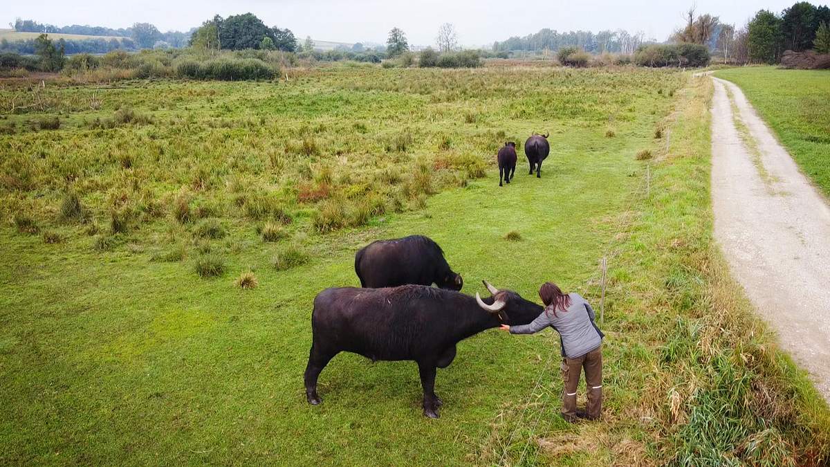 Helden der Landwirtschaft helden der landwirtschaft