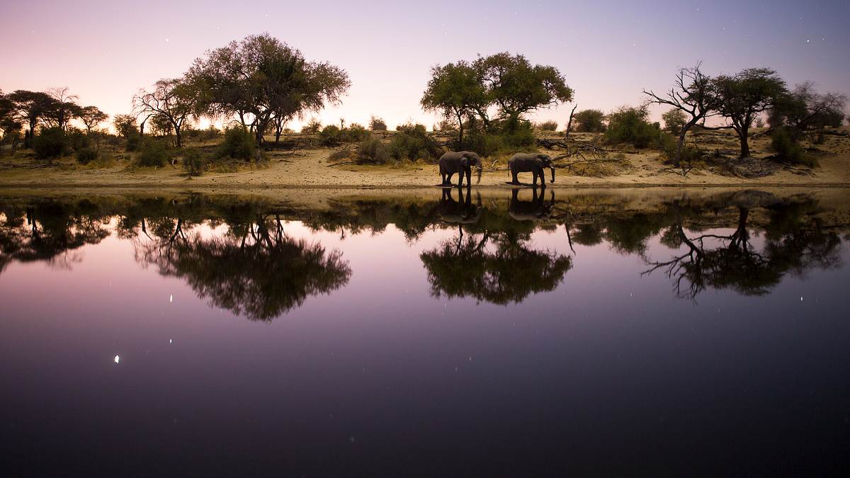 expedition ins okavangodelta