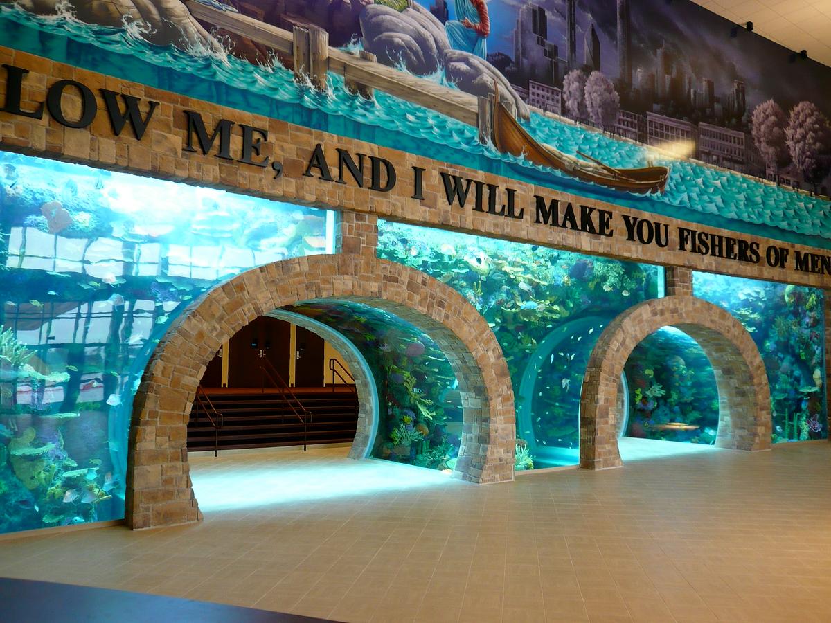Die Aquarium-Profis die aquarium-profis