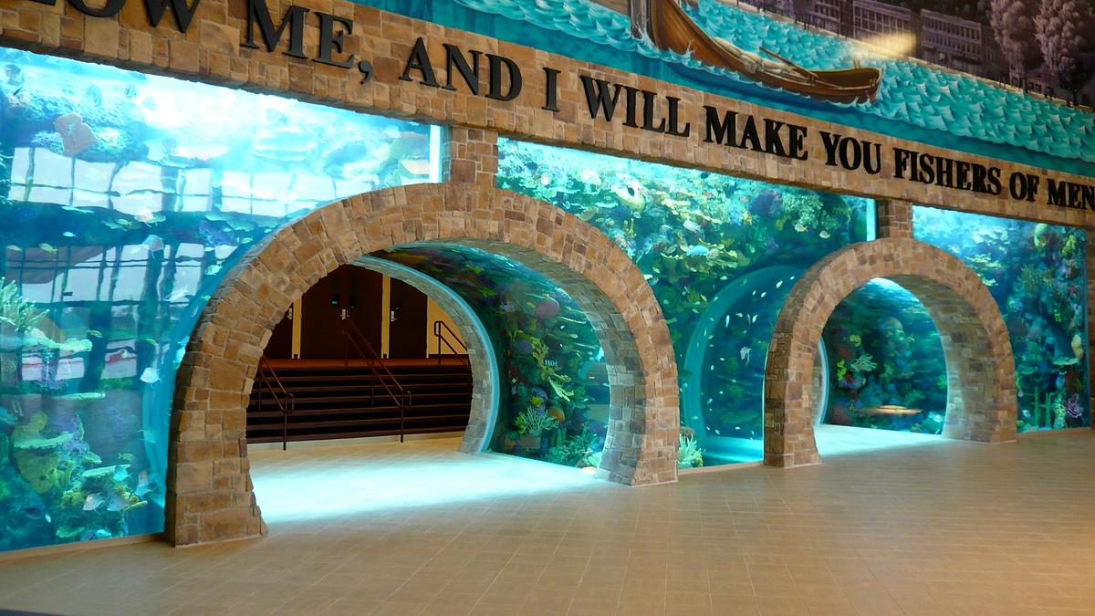 die aquarium-profis
