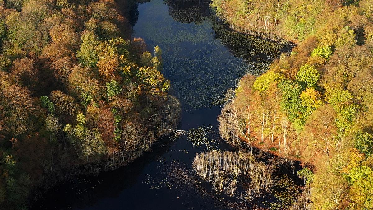 tausend moore, hundert seen und ein wald - naturwunder schorfheide