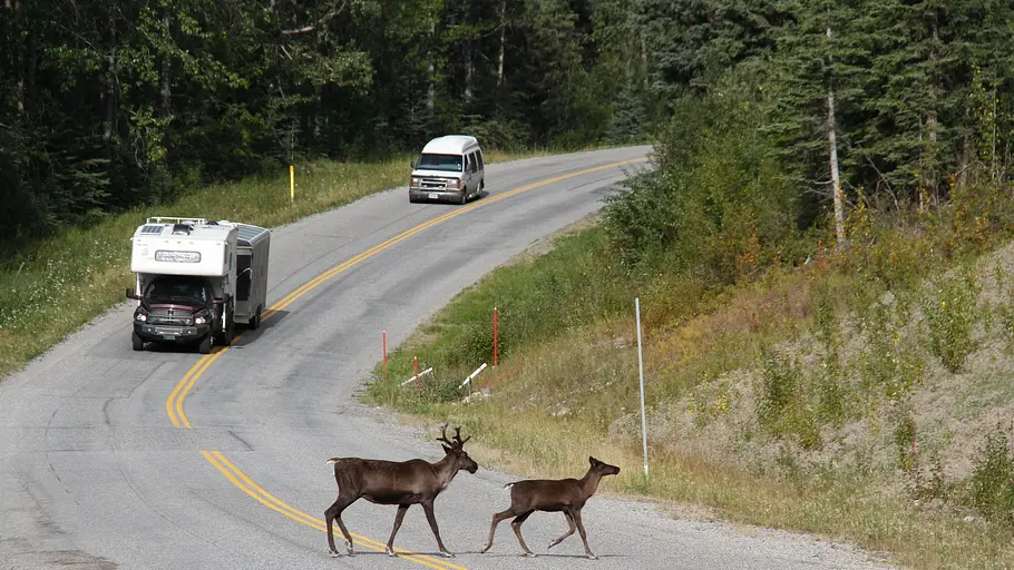 alaska highway - pionierroute in die wildnis