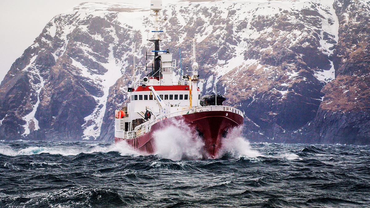 fang des lebens: abenteuer in norwegen