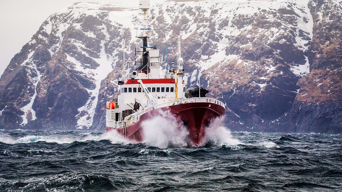 Fang des Lebens: Abenteuer in Norwegen fang des lebens: abenteuer in norwegen