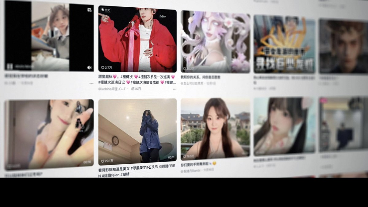 tiktok, die mächtigste app der welt