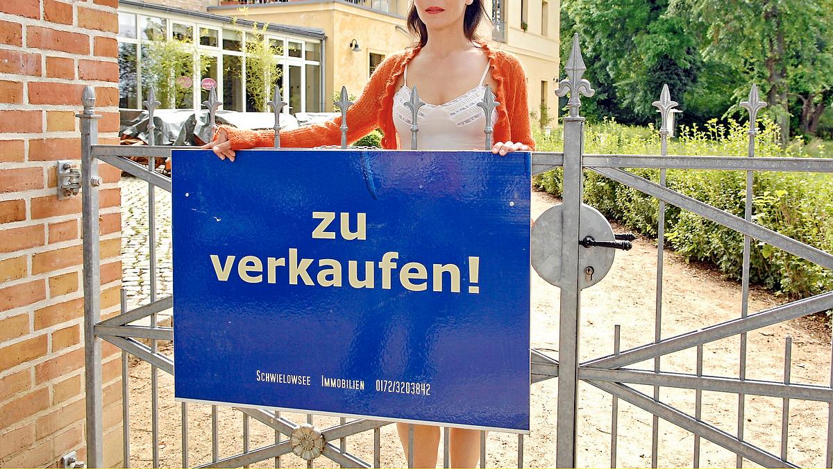 die stein