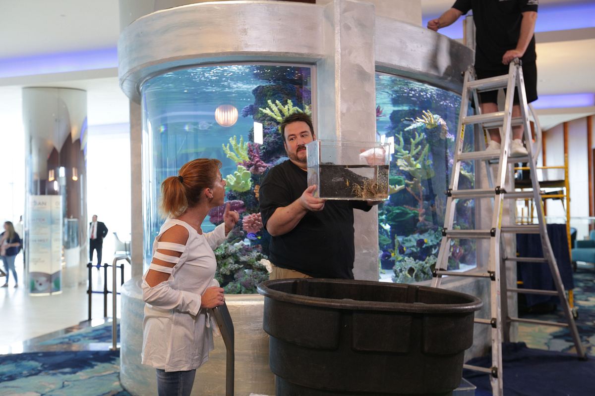 Die Aquarium-Profis die aquarium-profis