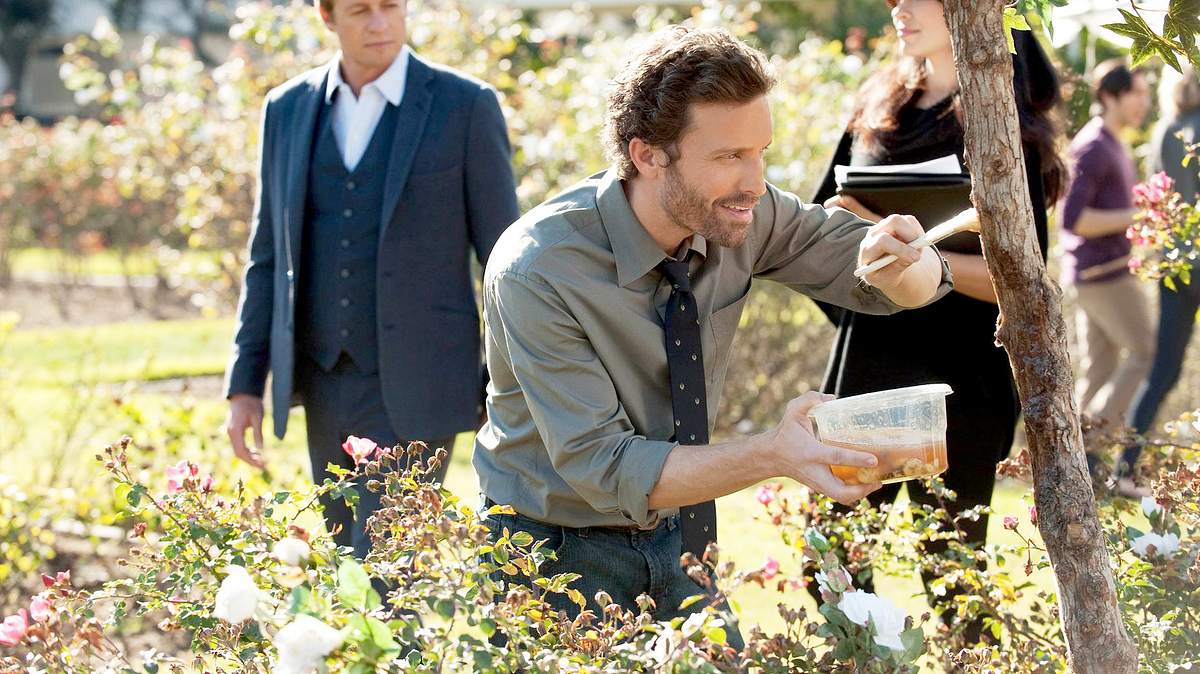 the mentalist