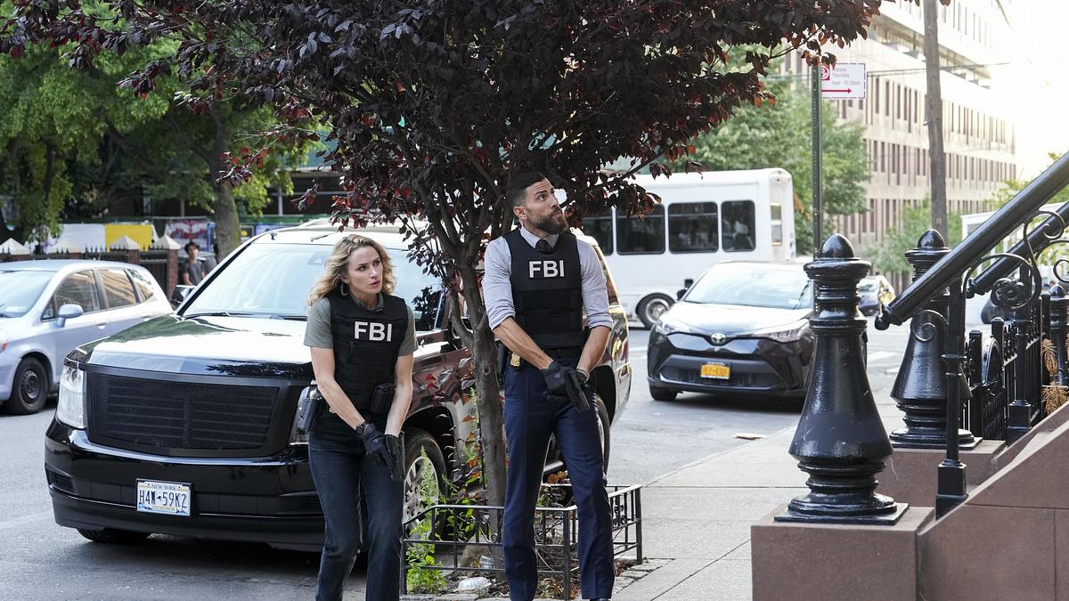 fbi: special crime unit