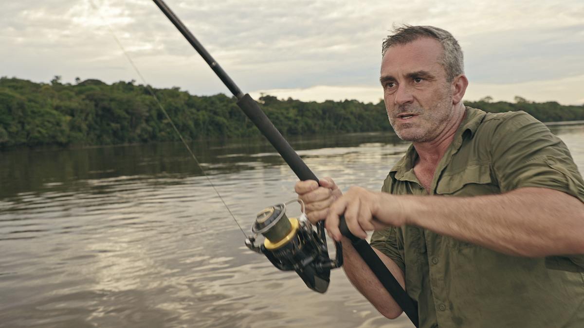 giganten unter wasser - riesenfischen auf der spur