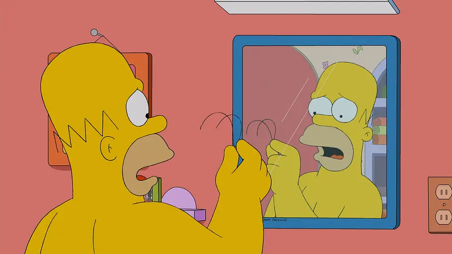 die simpsons