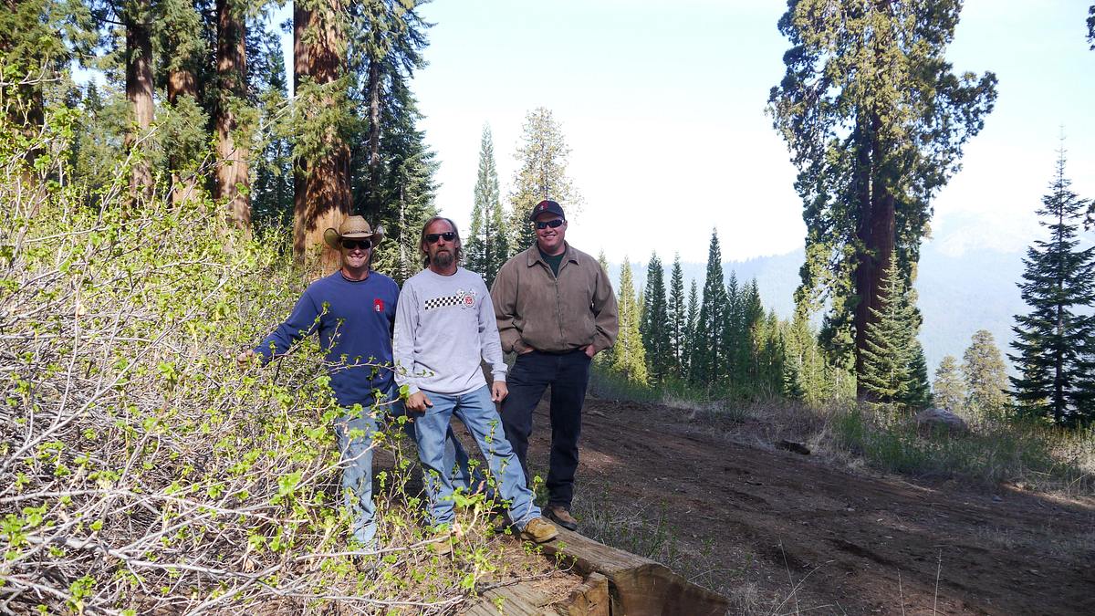Redwood Kings - Träume aus Holz redwood kings - träume aus holz