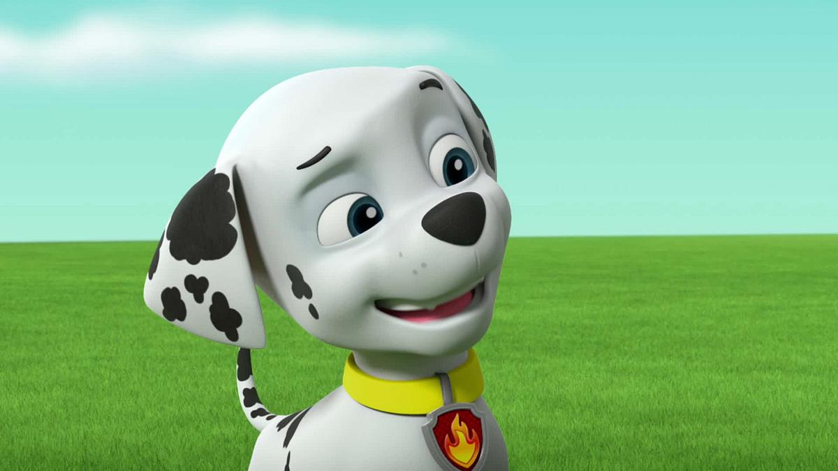 paw patrol - helfer auf vier pfoten