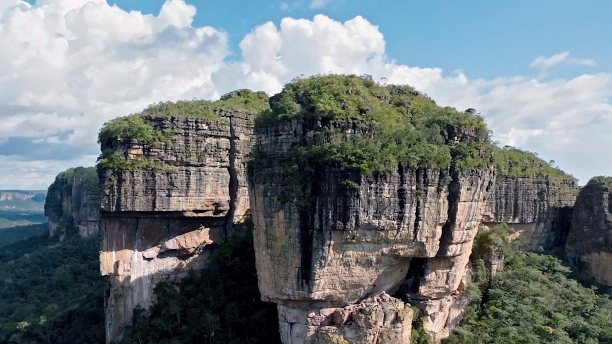 die geheimnisvolle felskunst amazoniens
