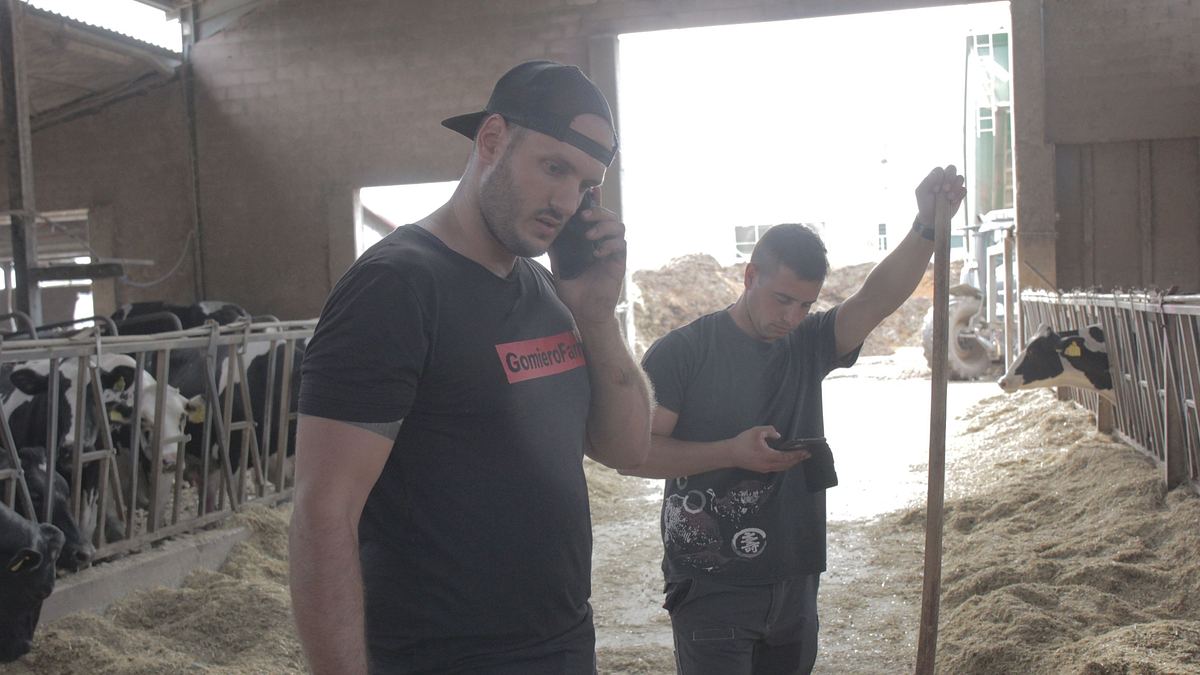 unsere verrückte italienische farm