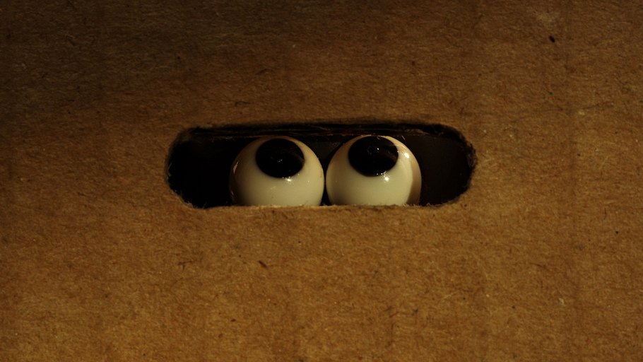 shaun das schaf