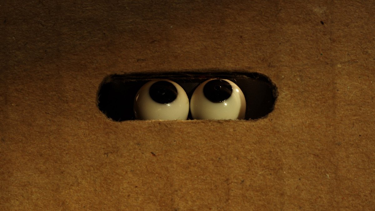 shaun das schaf