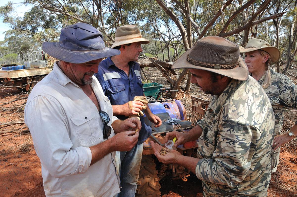 australian gold - schatzsuche down under