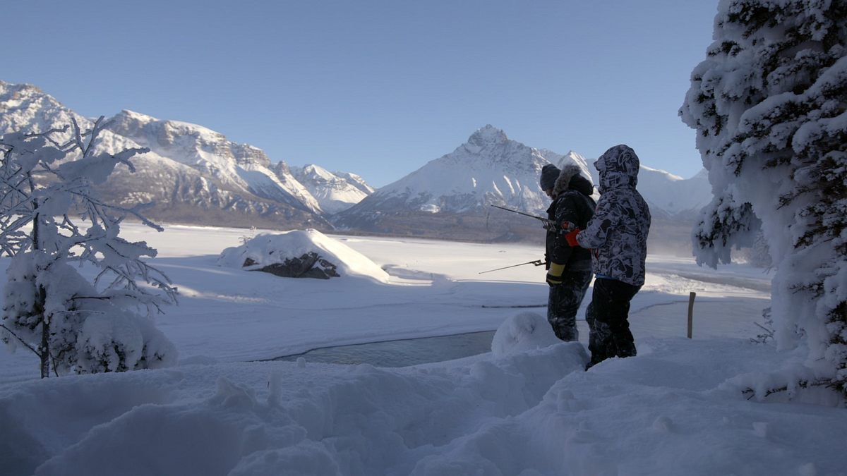 Alaska - Eisige Freiheit alaska - eisige freiheit