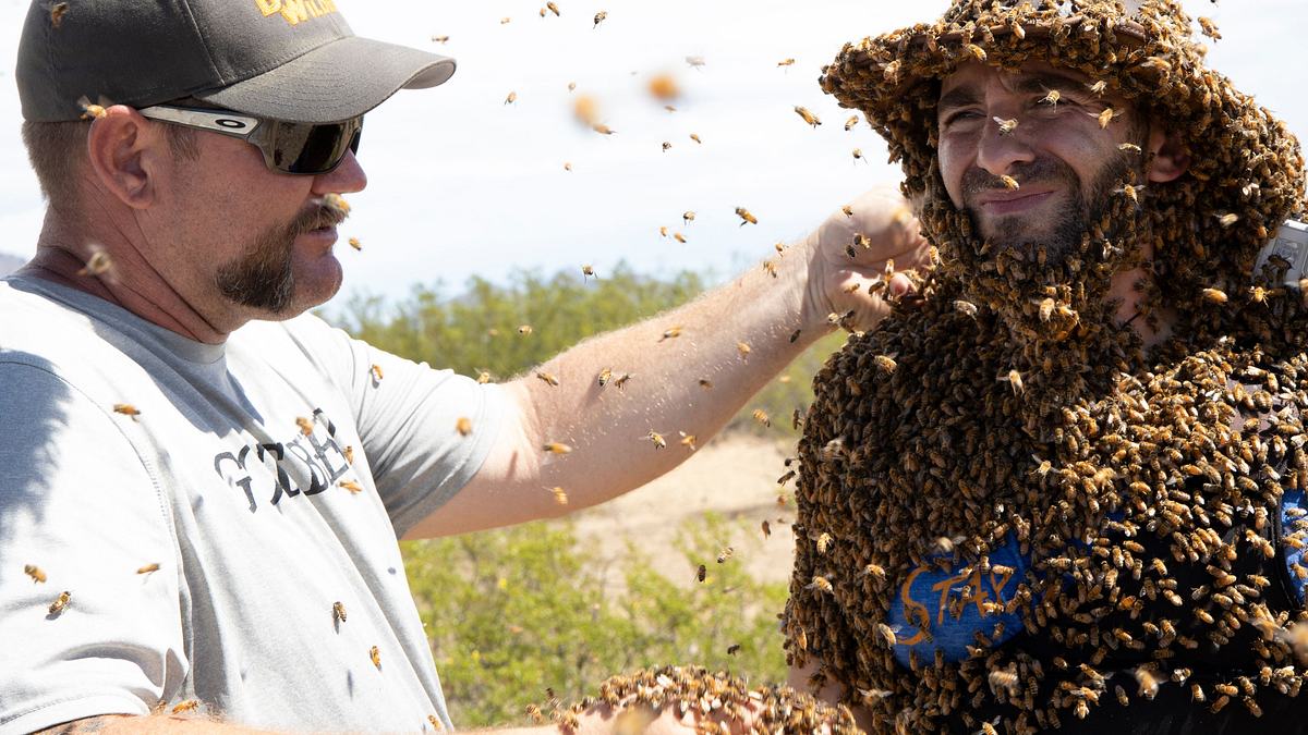 faszinierende tierwelt mit coyote peterson