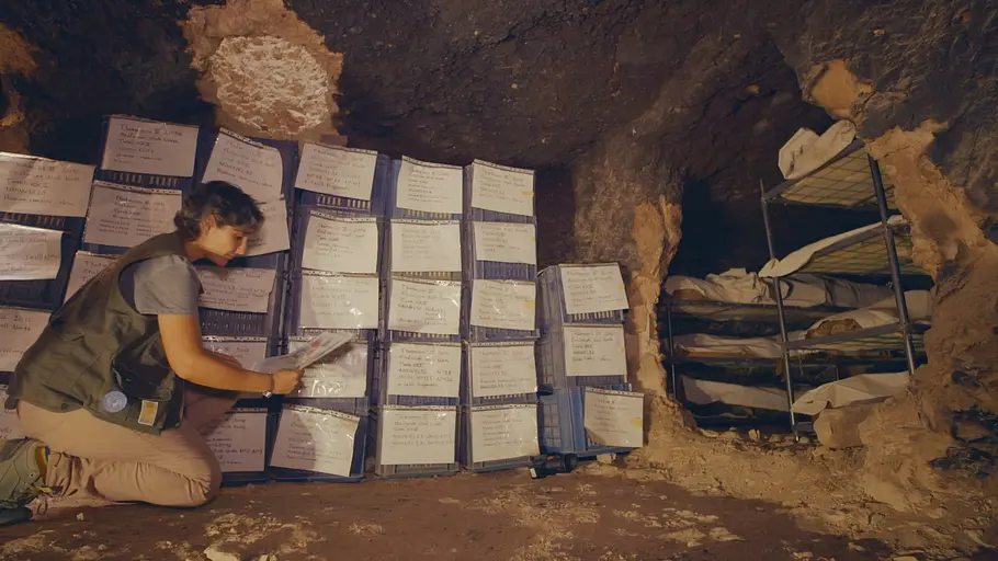 Ägypten - Schatzkammer der Archäologie ägypten - schatzkammer der archäologie