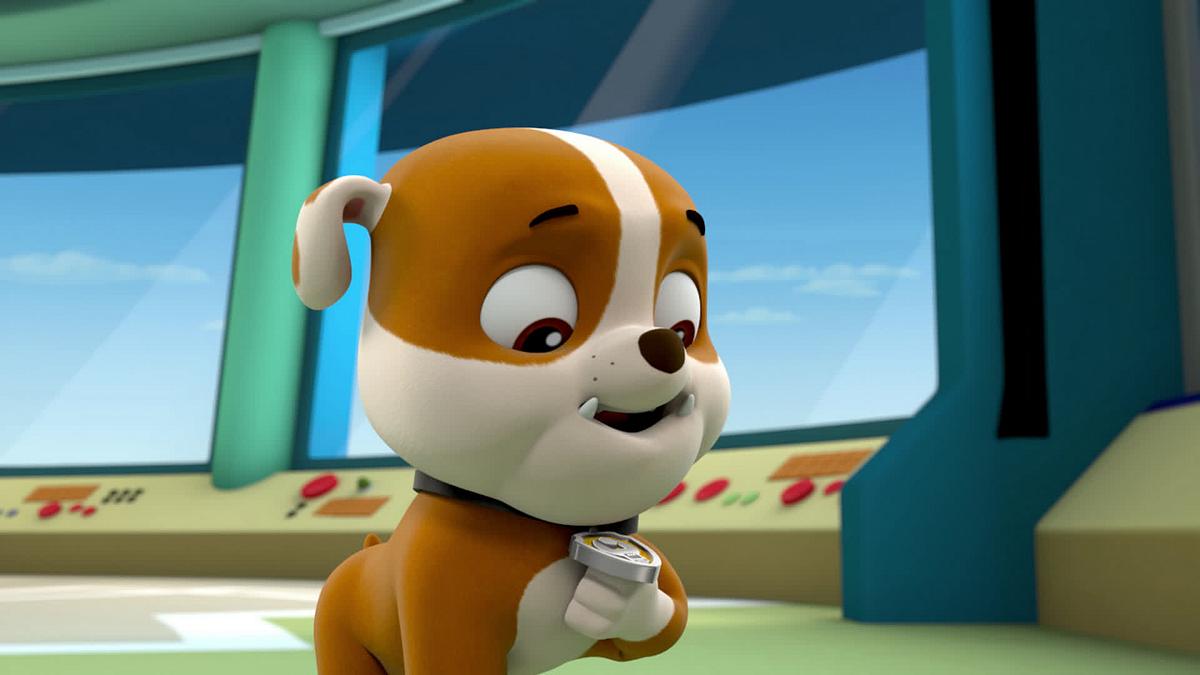 Paw Patrol - Helfer auf vier Pfoten paw patrol - helfer auf vier pfoten