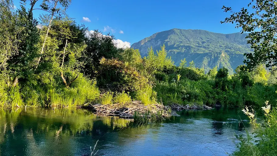 3satthementag: naturschönheit kärnten
