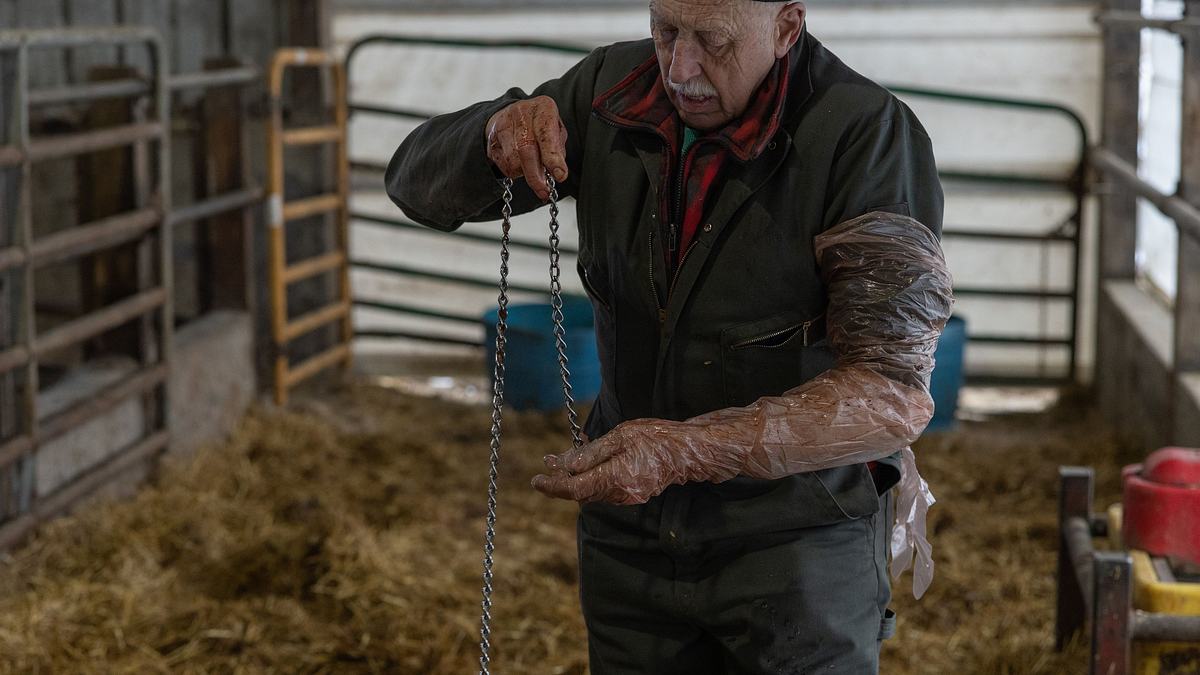 der unglaubliche dr. pol