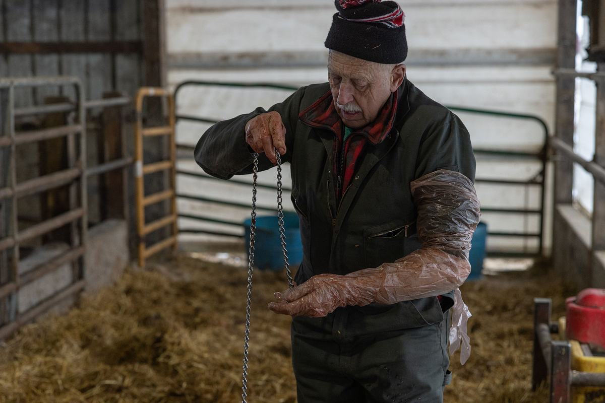 der unglaubliche dr. pol