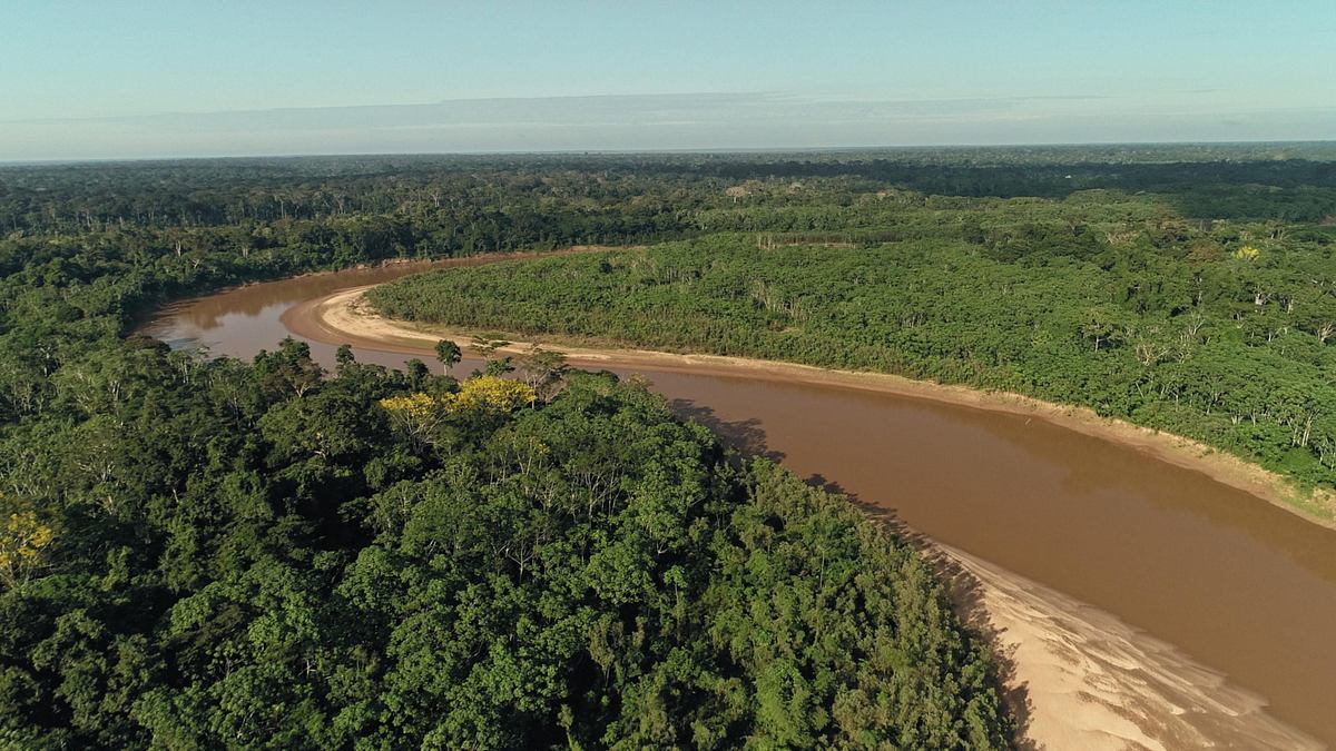 giganten unter wasser - riesenfischen auf der spur