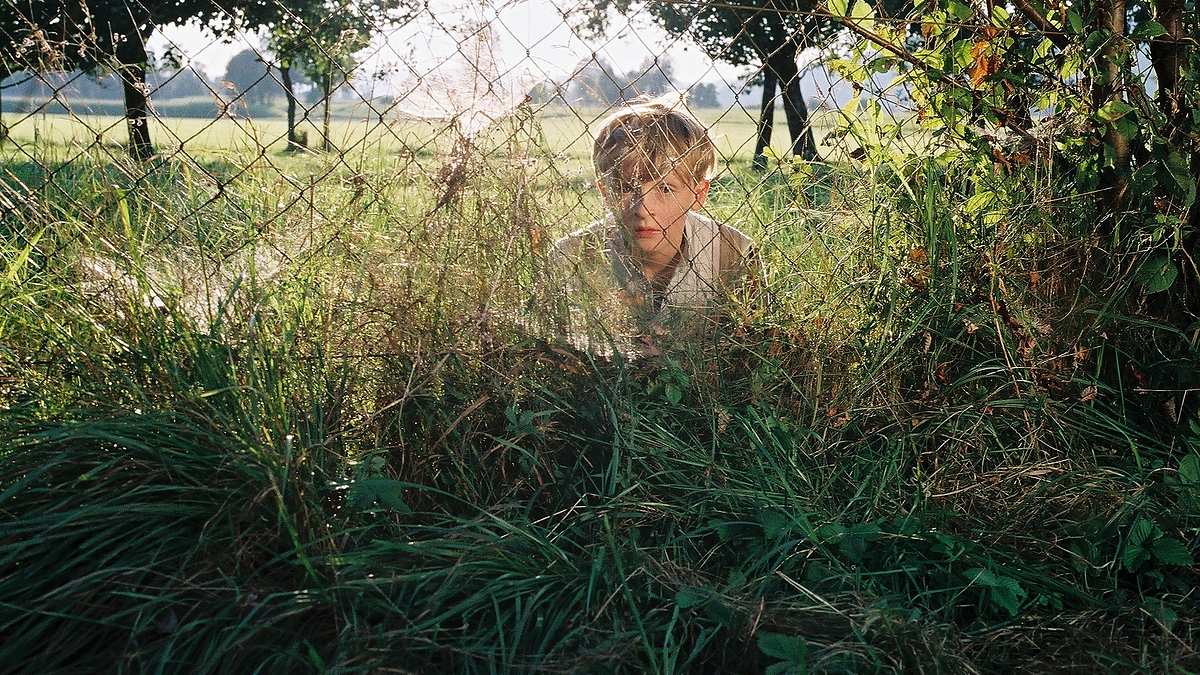 toni goldwascher